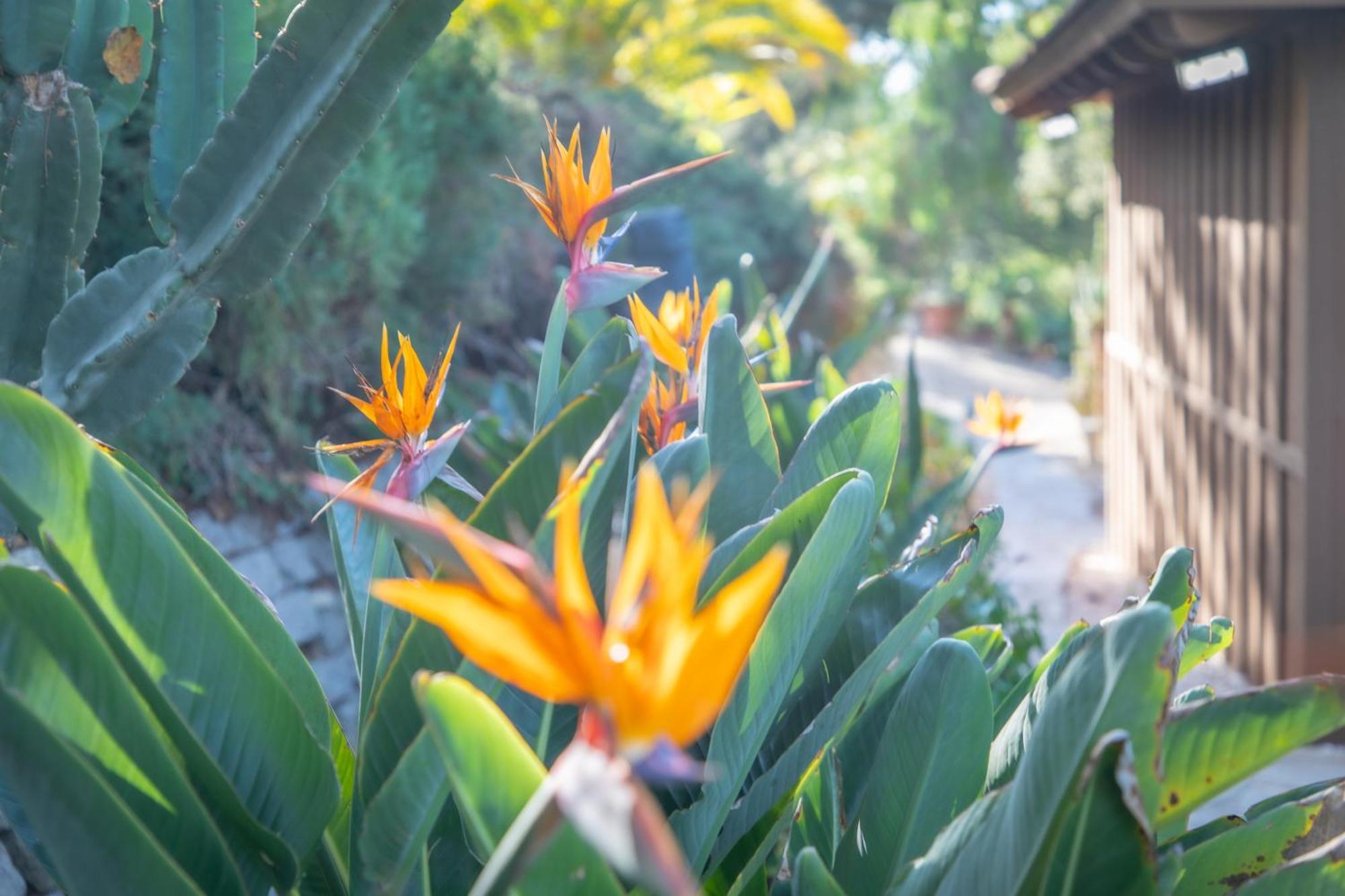 Nature Focused Villa Designed For Wellness Fallbrook Exterior foto